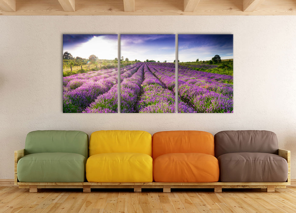 Lavendelfeld Provence, XXL Leinwandbild als 3 Teiler