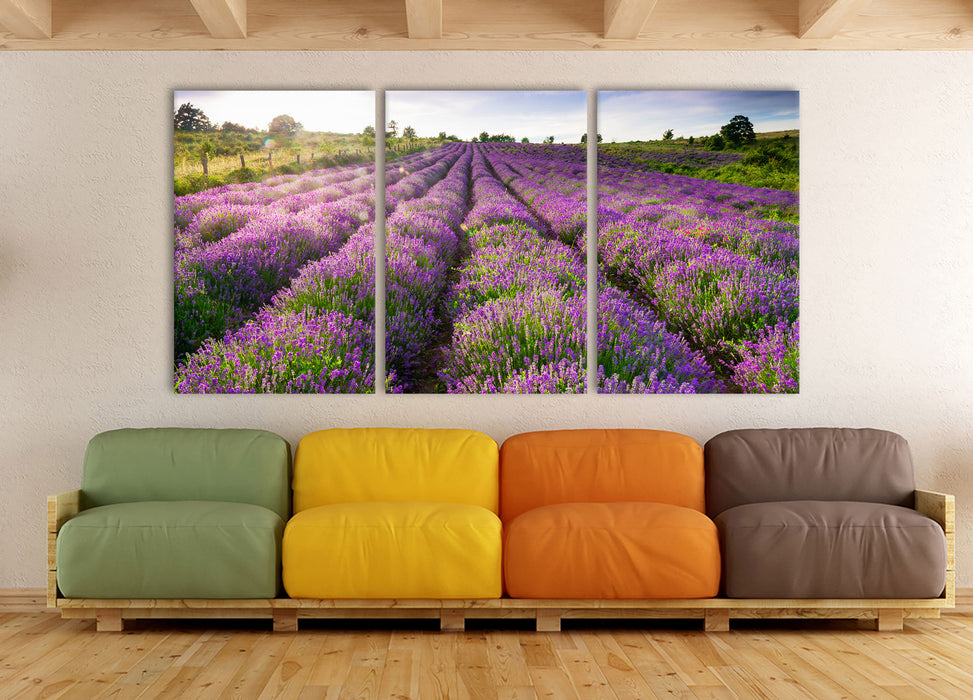 Lavendelfeld Provence, XXL Leinwandbild als 3 Teiler