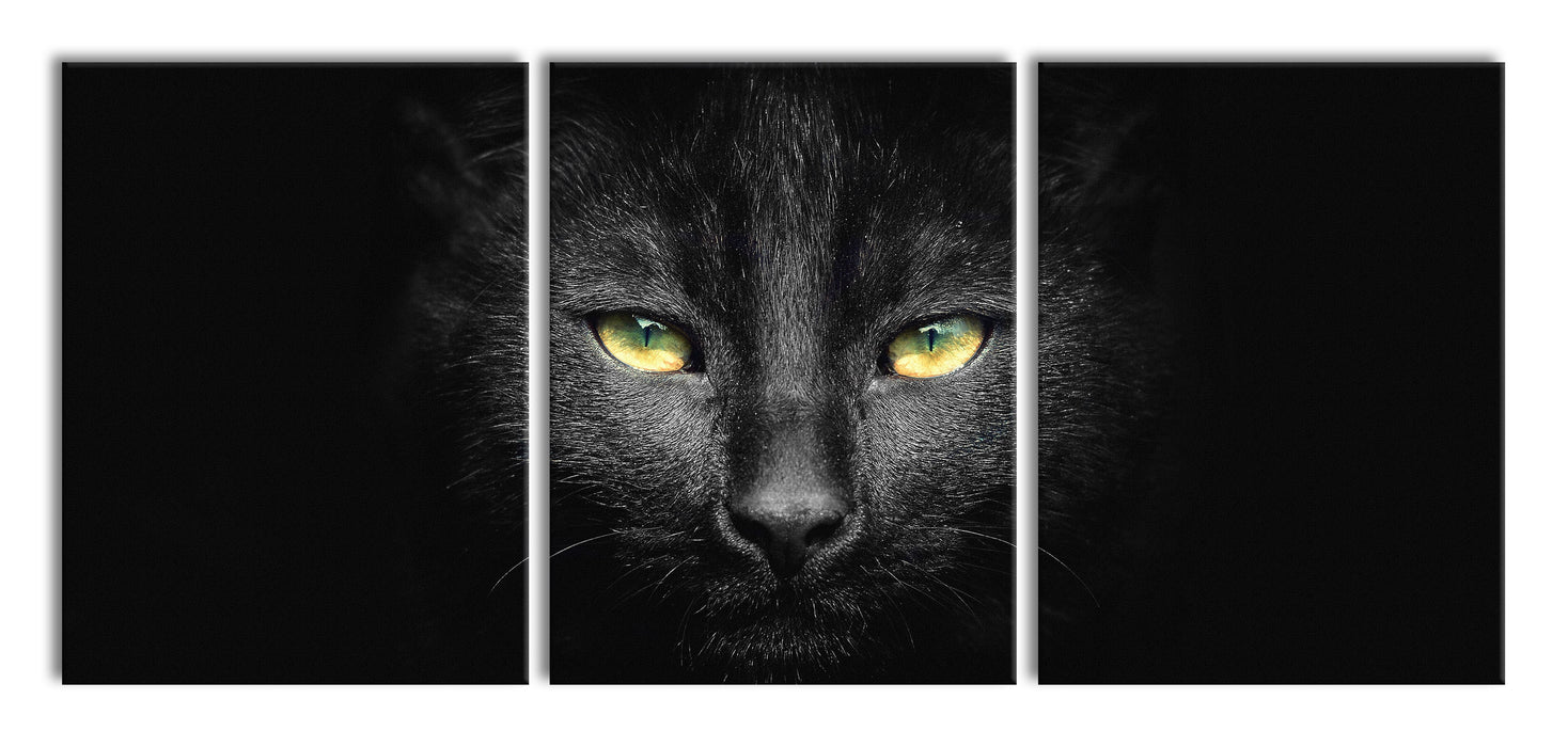 Dark schwarzes Katzengesicht, XXL Leinwandbild als 3 Teiler