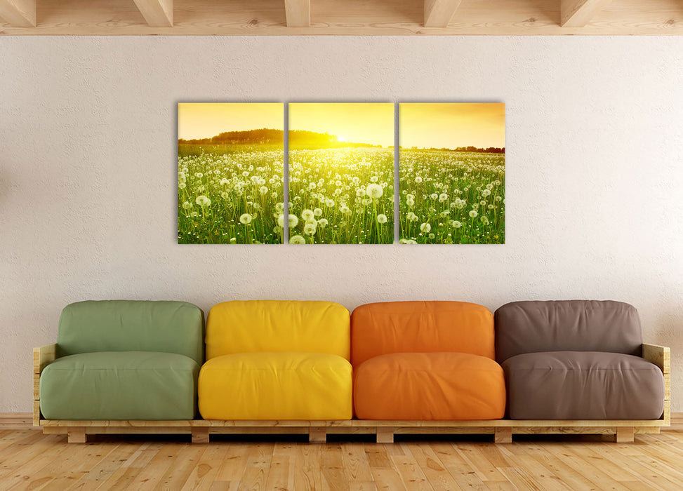 Pusteblumen Sonnenuntergang, XXL Leinwandbild als 3 Teiler