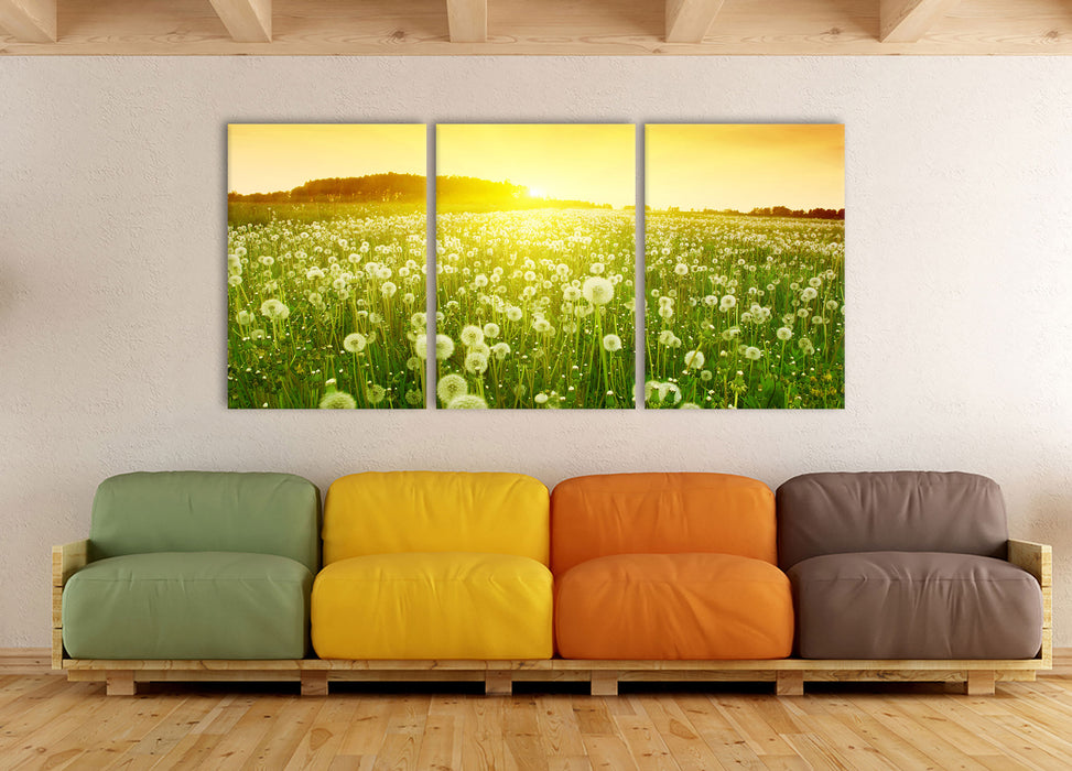 Pusteblumen Sonnenuntergang, XXL Leinwandbild als 3 Teiler