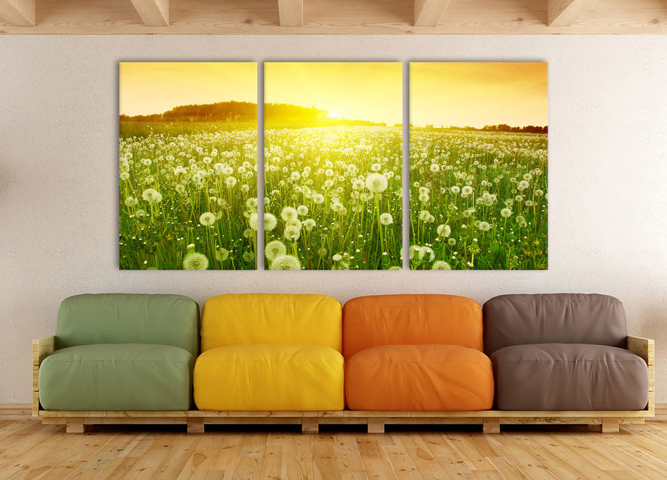 Pusteblumen Sonnenuntergang, XXL Leinwandbild als 3 Teiler