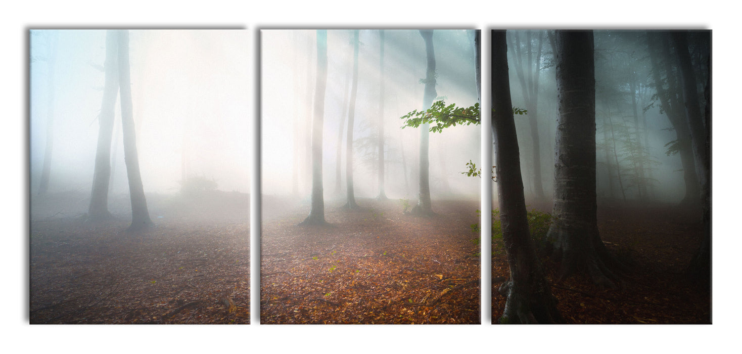 Düsterer Wald im Nebel, XXL Leinwandbild als 3 Teiler