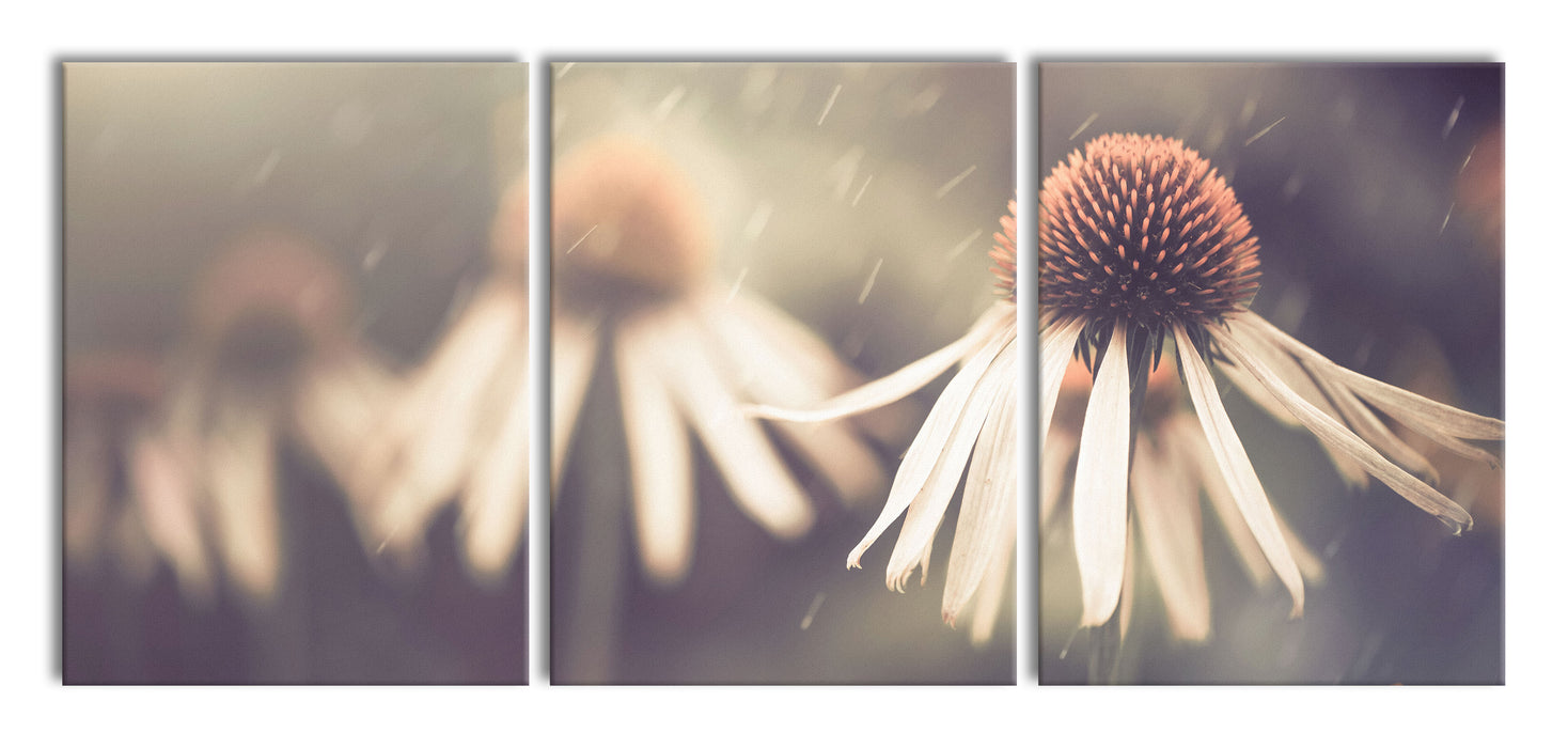 Blumen im Regen, XXL Leinwandbild als 3 Teiler