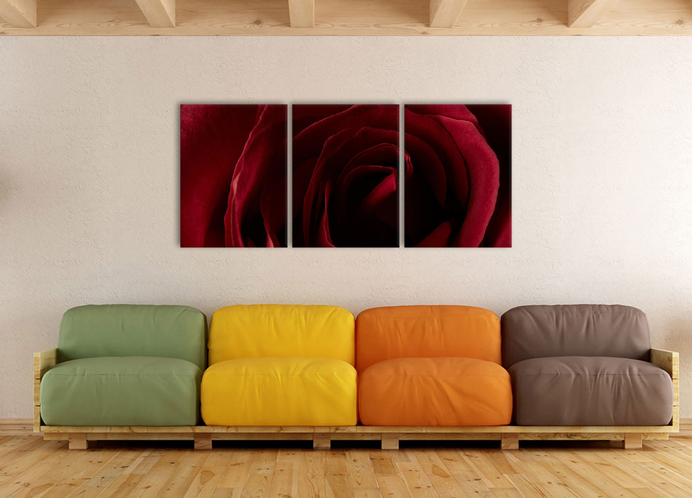 Rote Rose, XXL Leinwandbild als 3 Teiler