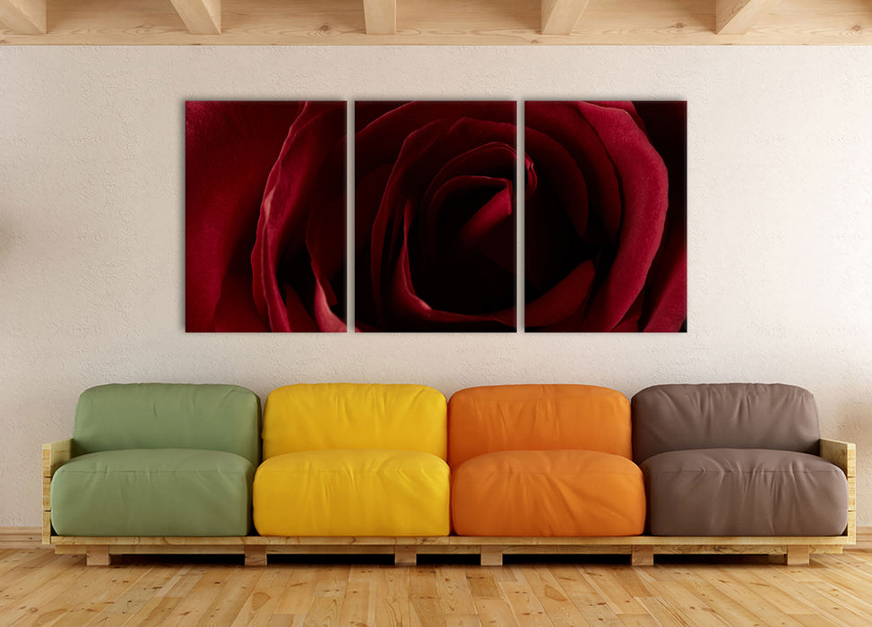 Rote Rose, XXL Leinwandbild als 3 Teiler