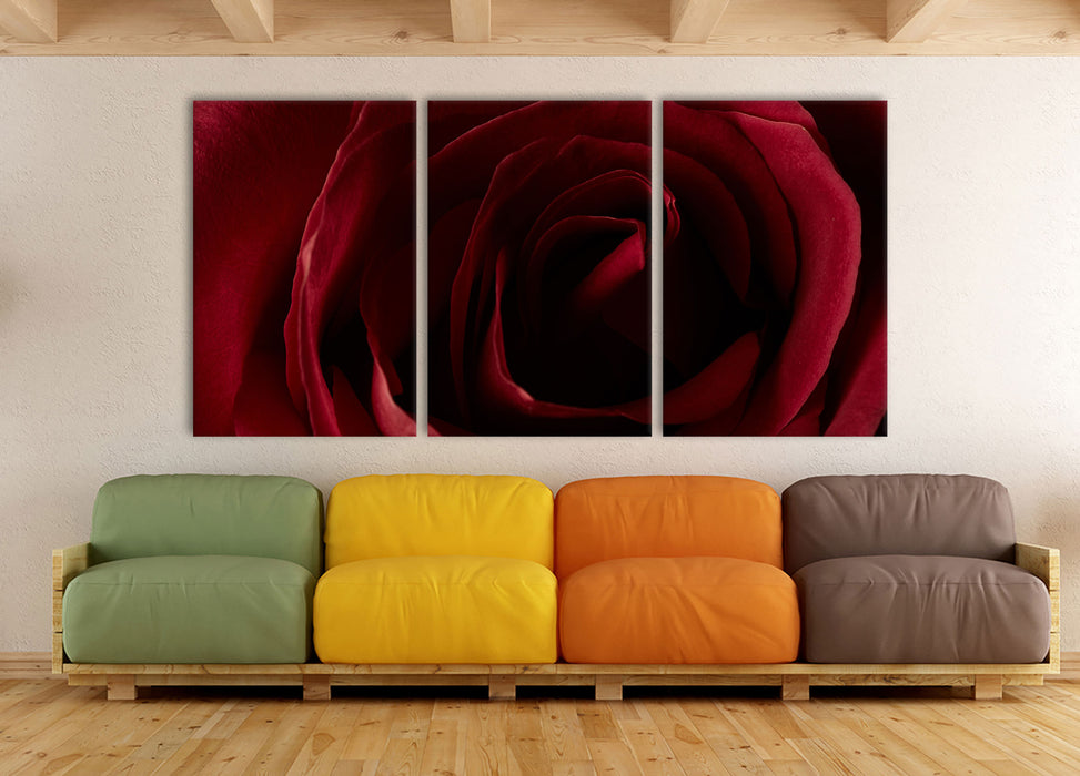 Rote Rose, XXL Leinwandbild als 3 Teiler