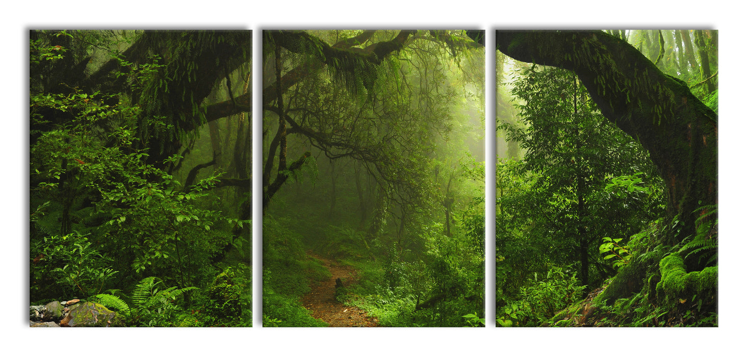 Mystischer Regenwald, XXL Leinwandbild als 3 Teiler