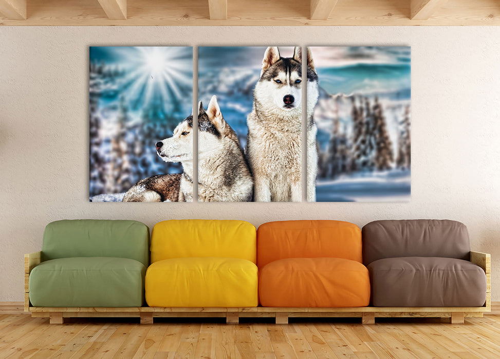 Zwei wilde Huskies, XXL Leinwandbild als 3 Teiler
