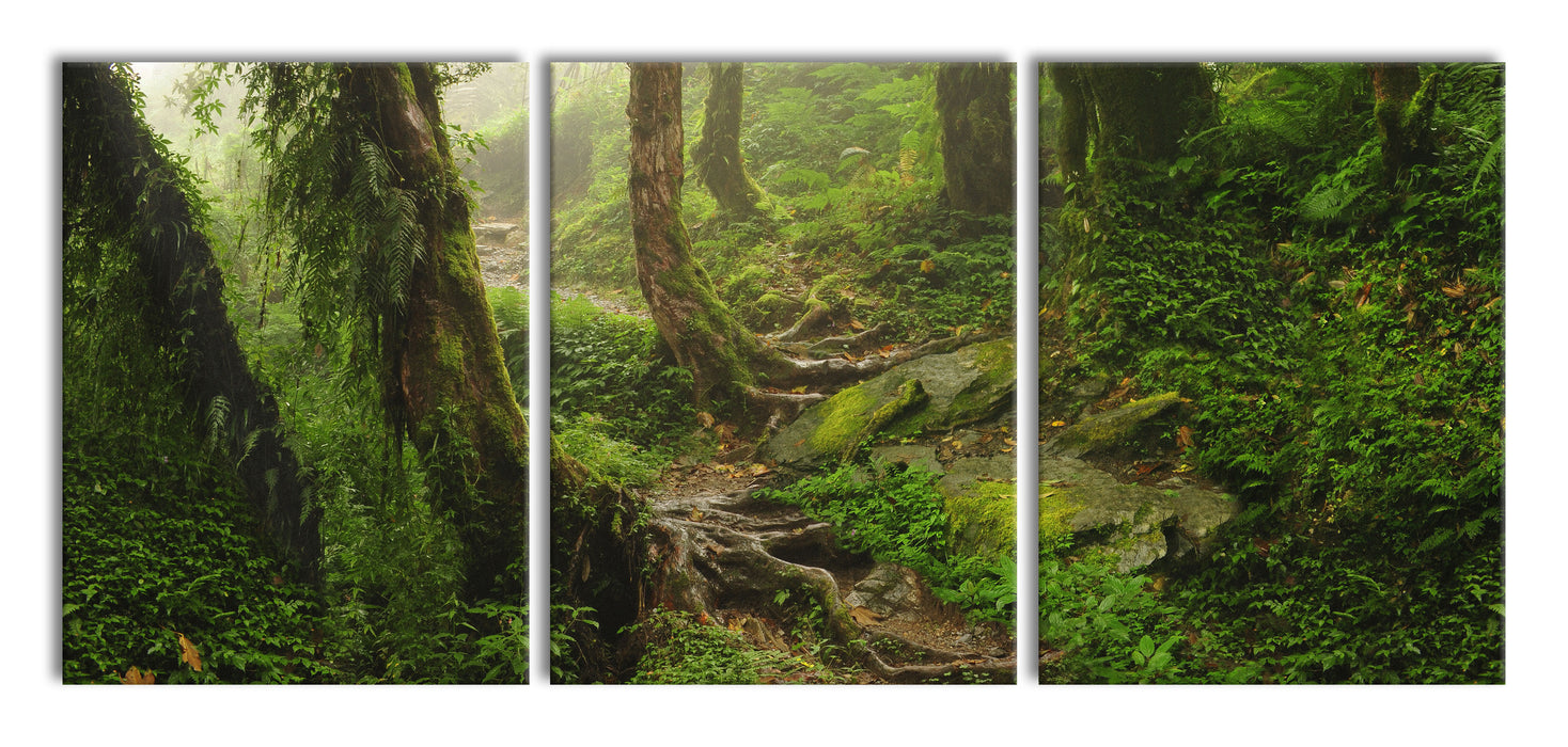 Tropischer La Selva Dschungel, XXL Leinwandbild als 3 Teiler