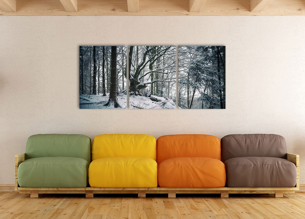 Wald mit Schnee bedeckt, XXL Leinwandbild als 3 Teiler