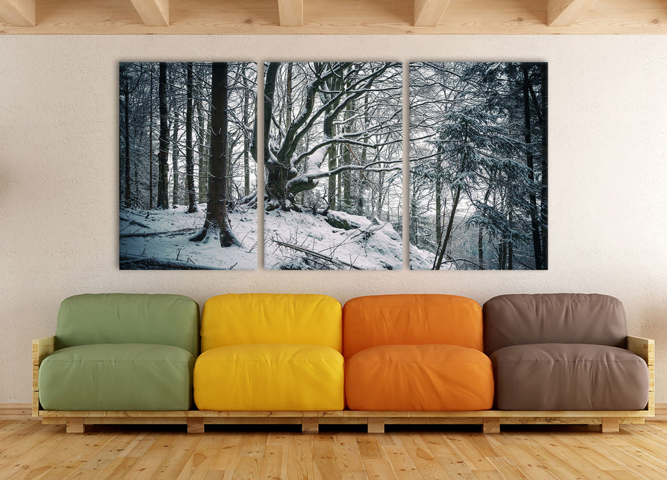 Wald mit Schnee bedeckt, XXL Leinwandbild als 3 Teiler