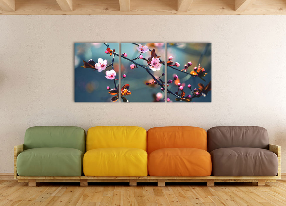 Exotische Sakura Blüten, XXL Leinwandbild als 3 Teiler