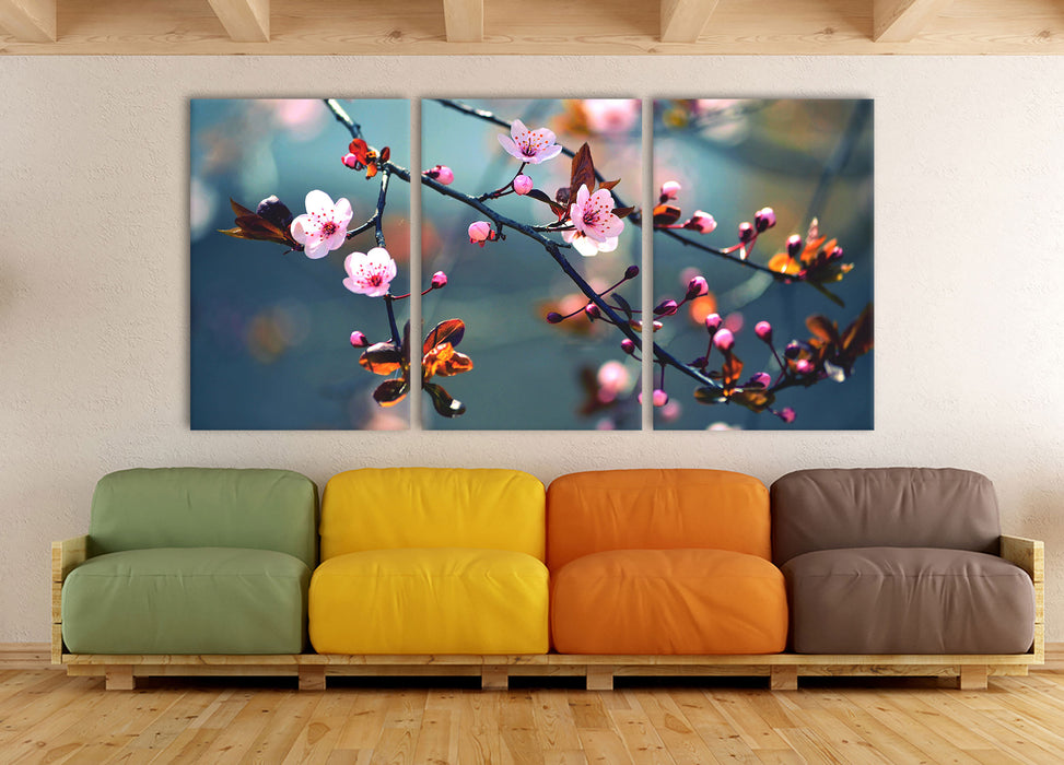 Exotische Sakura Blüten, XXL Leinwandbild als 3 Teiler