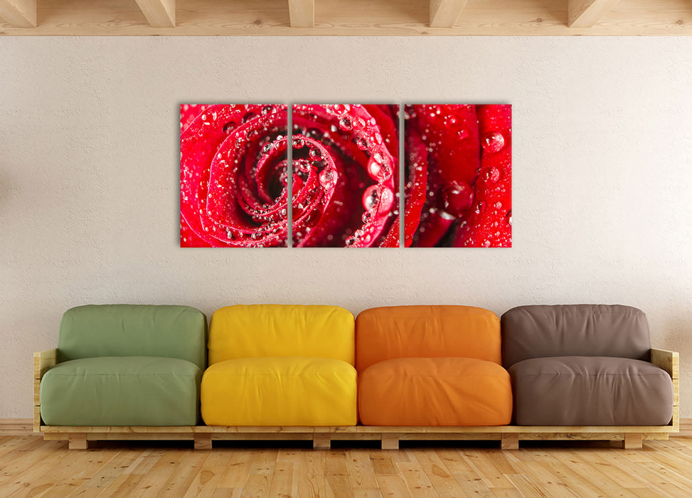 Rose mit Wassertropfen, XXL Leinwandbild als 3 Teiler