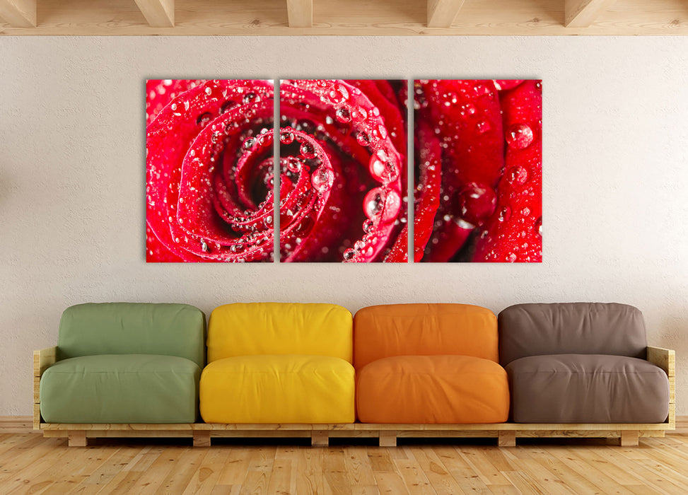 Rose mit Wassertropfen, XXL Leinwandbild als 3 Teiler