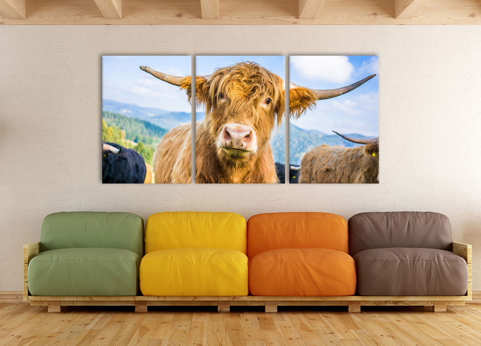 Blick einer Kuh an der Weide, XXL Leinwandbild als 3 Teiler