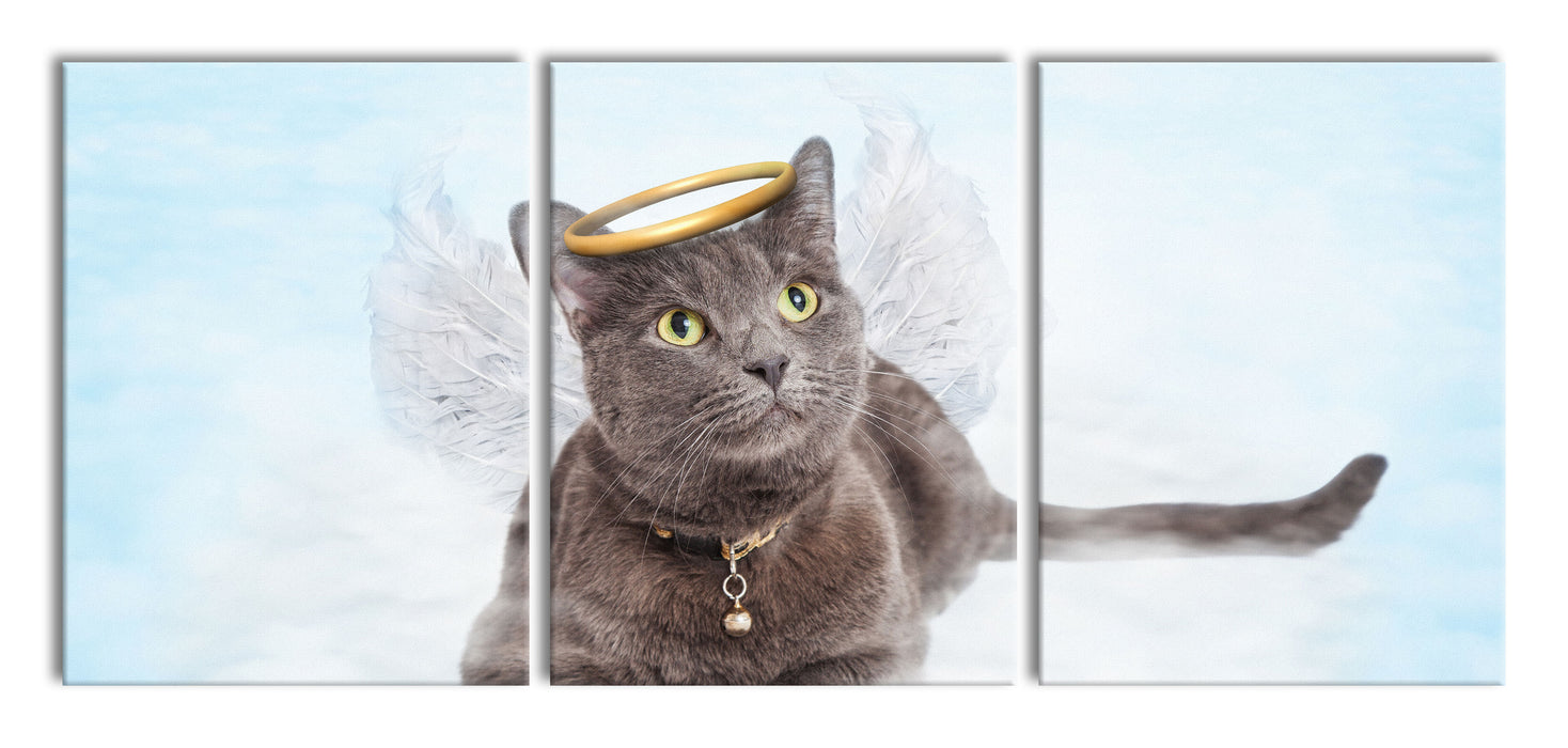 Katzen-Engel auf Wolke, XXL Leinwandbild als 3 Teiler