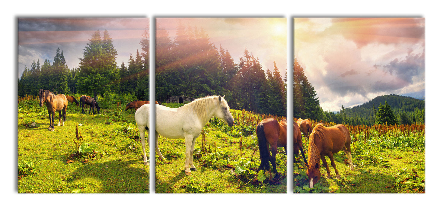 Mustangs Pferde auf den Bergen, XXL Leinwandbild als 3 Teiler