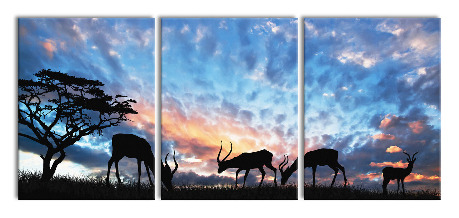 Tiere in der Natur am Abend, XXL Leinwandbild als 3 Teiler