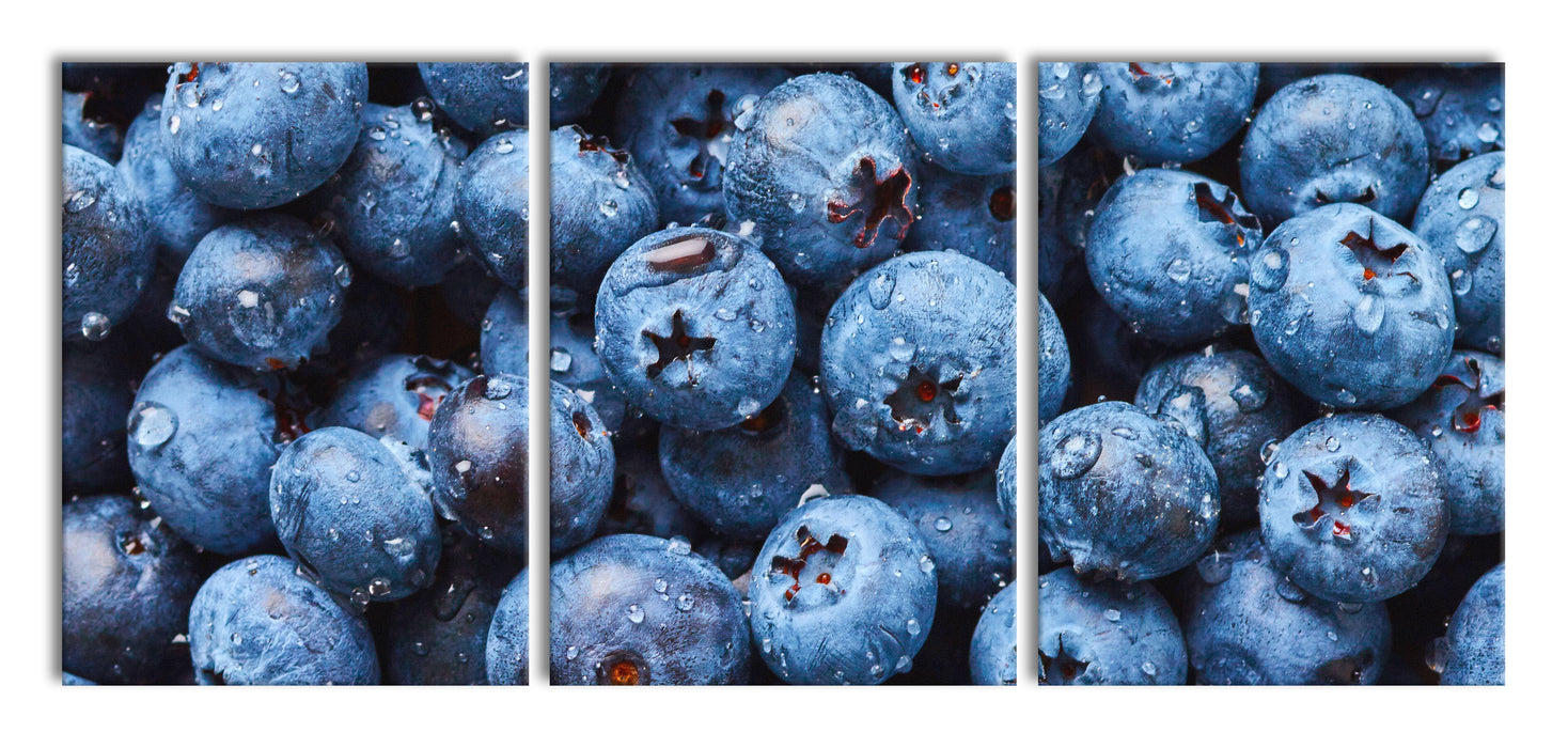 Blaubeeren mit Wassertropfen, XXL Leinwandbild als 3 Teiler