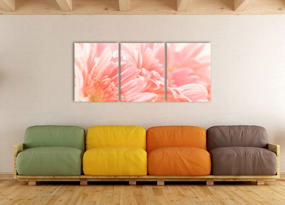 Gerbera Blume, XXL Leinwandbild als 3 Teiler