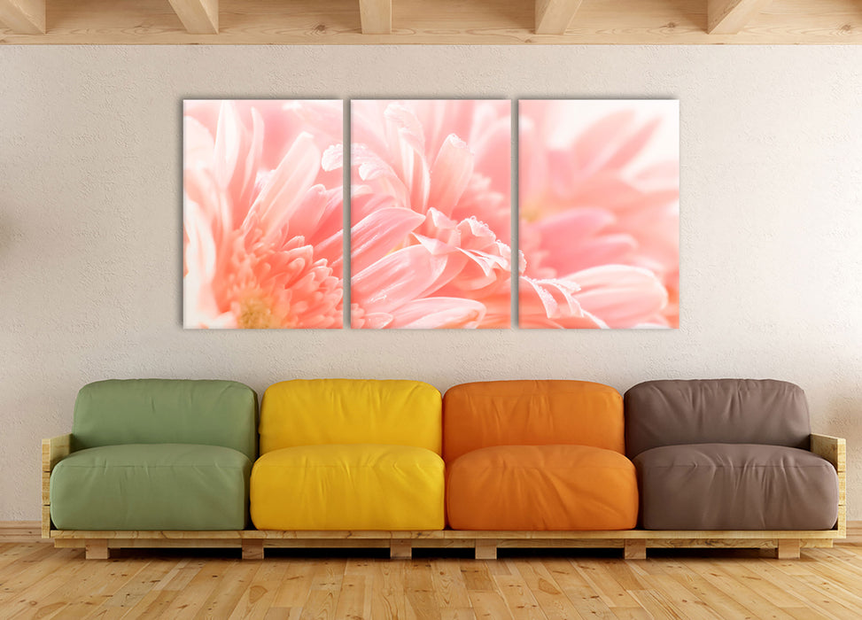 Gerbera Blume, XXL Leinwandbild als 3 Teiler