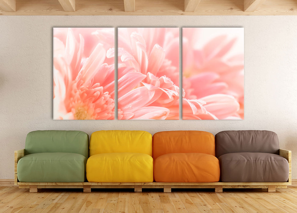 Gerbera Blume, XXL Leinwandbild als 3 Teiler