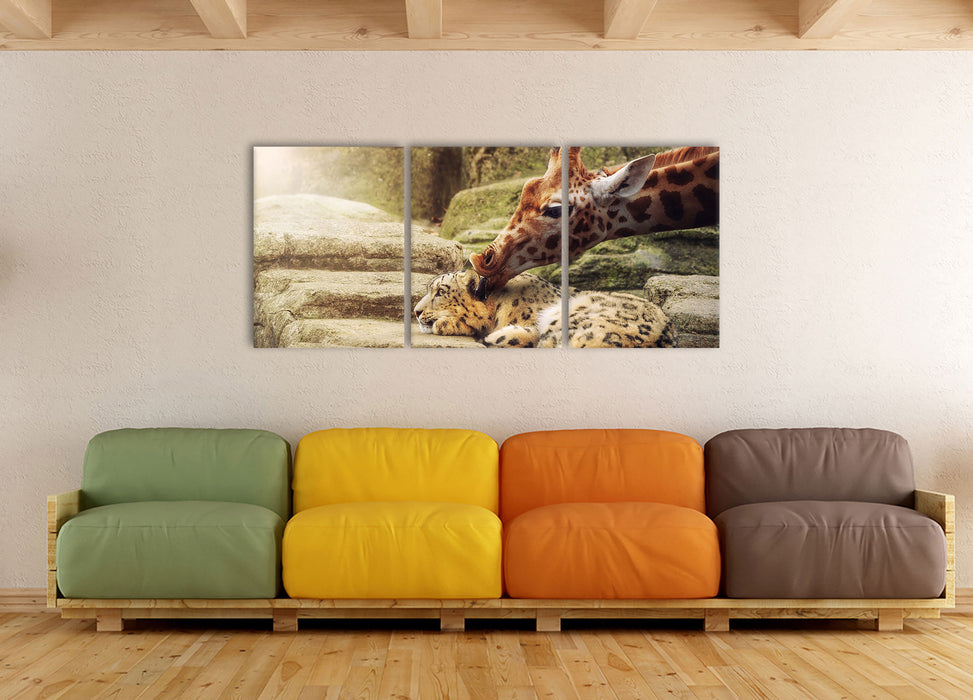 Leopard und Giraffe, XXL Leinwandbild als 3 Teiler