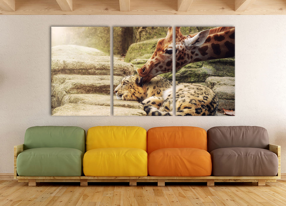 Leopard und Giraffe, XXL Leinwandbild als 3 Teiler