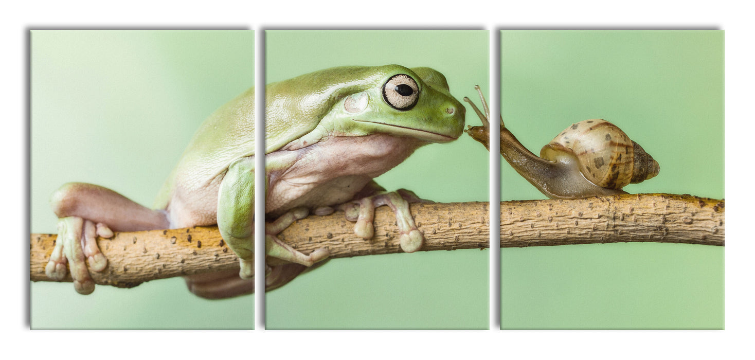 der Frosch und die Schnecke, XXL Leinwandbild als 3 Teiler