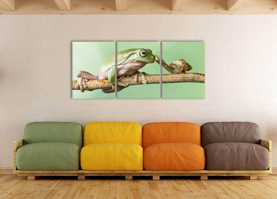 der Frosch und die Schnecke, XXL Leinwandbild als 3 Teiler