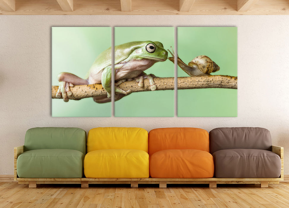 der Frosch und die Schnecke, XXL Leinwandbild als 3 Teiler