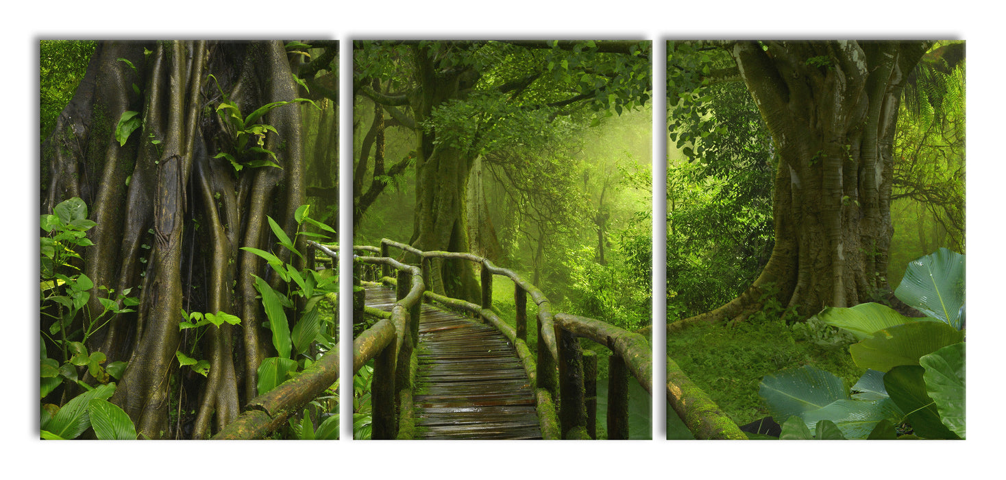 Weg durch den Tropenwald, XXL Leinwandbild als 3 Teiler
