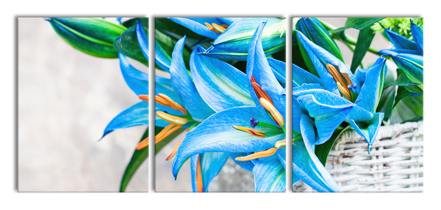 schöne blaue Blumen im Körbchen, XXL Leinwandbild als 3 Teiler