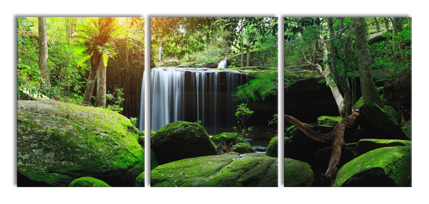 Regenwald in Thailand, XXL Leinwandbild als 3 Teiler