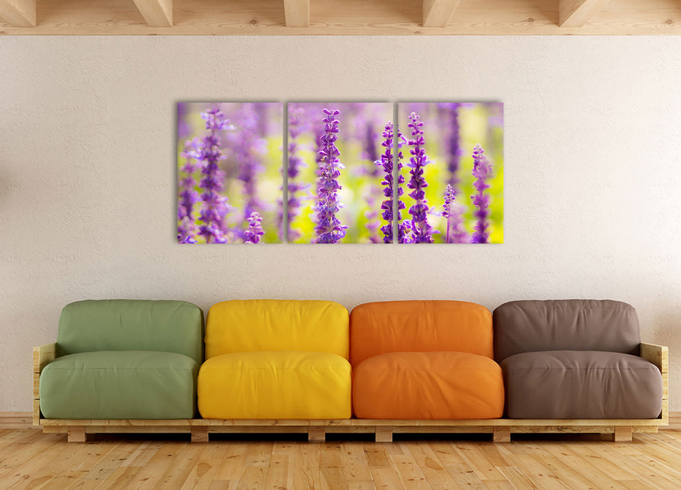 schöne violette Lavendelblüten, XXL Leinwandbild als 3 Teiler