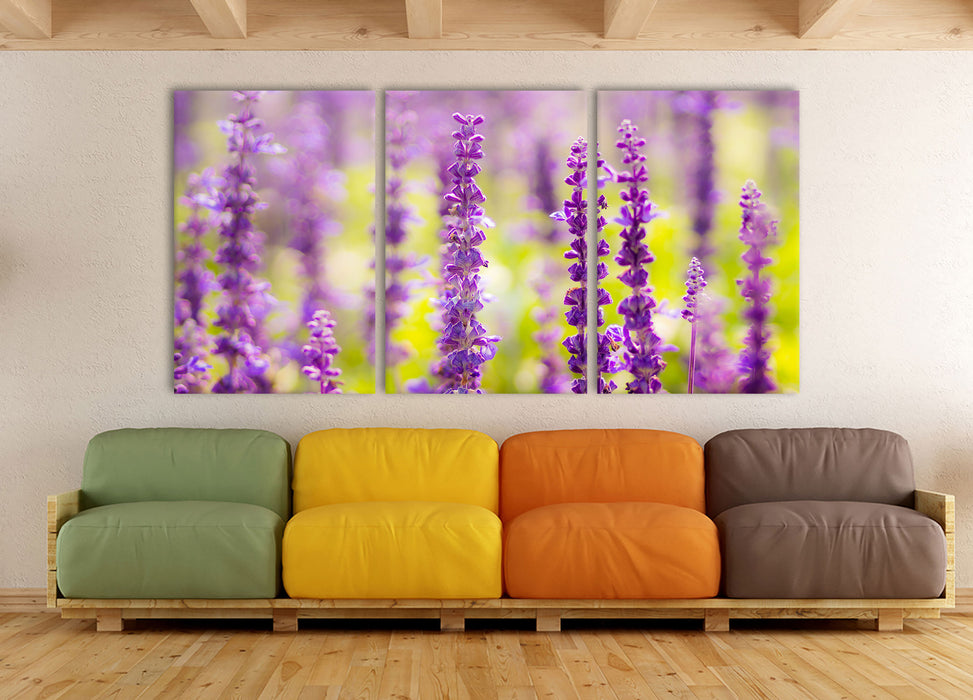 schöne violette Lavendelblüten, XXL Leinwandbild als 3 Teiler