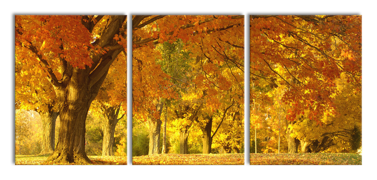 schöne Herbstlandschaft, XXL Leinwandbild als 3 Teiler