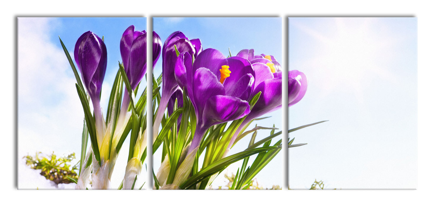 Kunst Frühling flower Hintergrund, XXL Leinwandbild als 3 Teiler