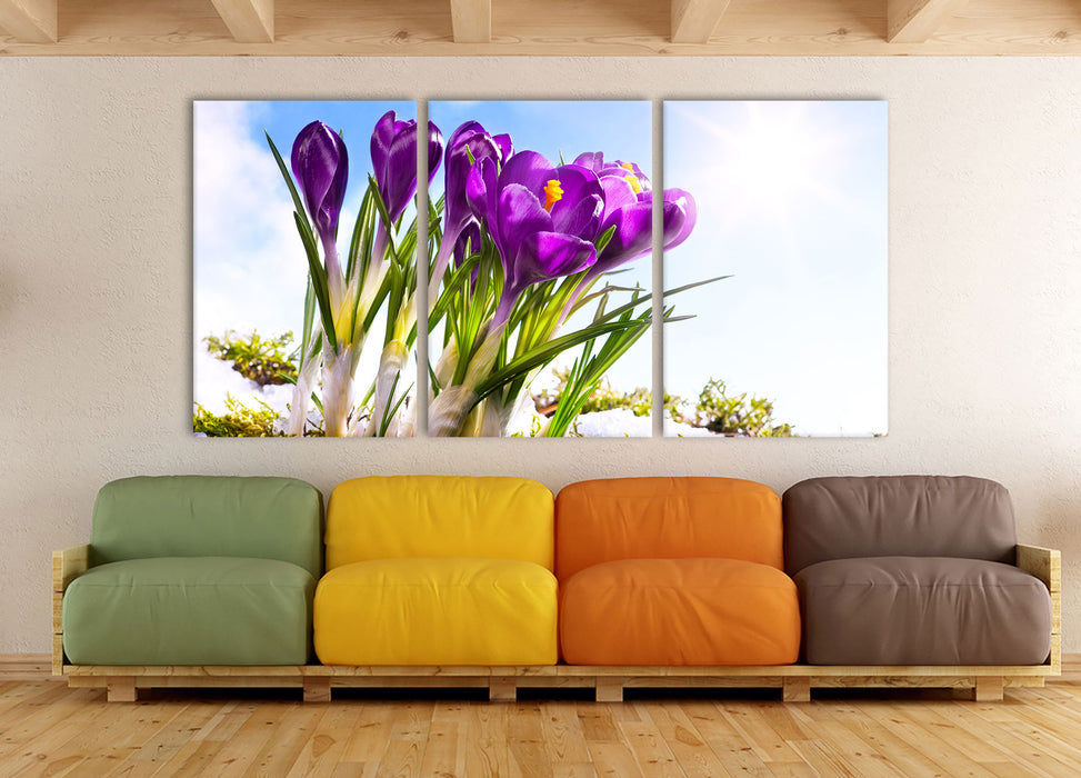 Kunst Frühling flower Hintergrund, XXL Leinwandbild als 3 Teiler
