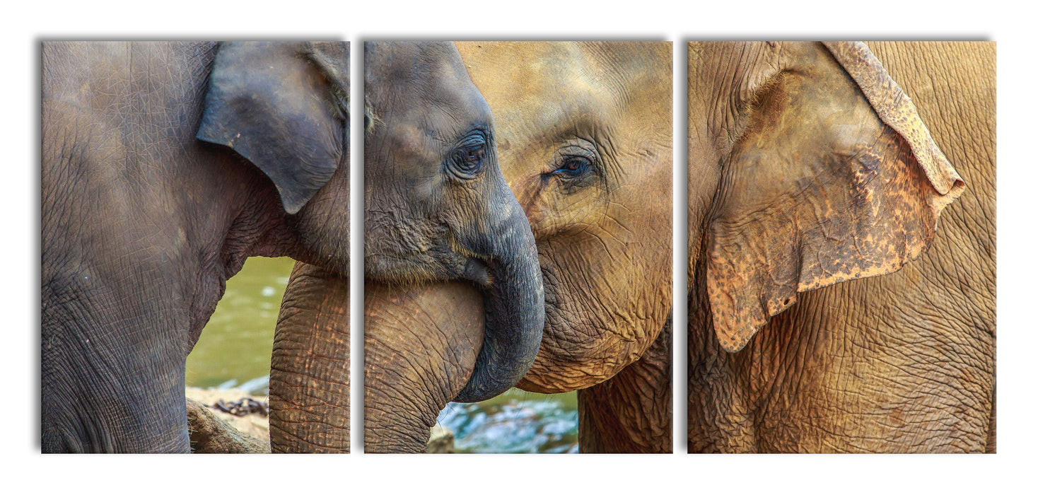 Elefantenmutter mit Kalb, XXL Leinwandbild als 3 Teiler