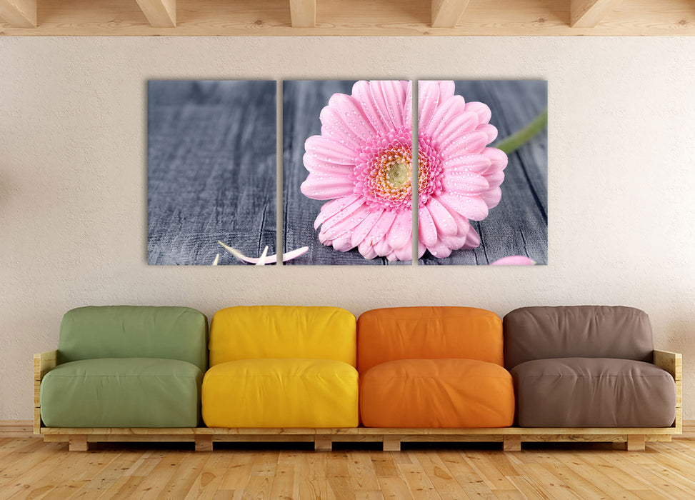 pinke Gerbera auf rustikalem Boden, XXL Leinwandbild als 3 Teiler