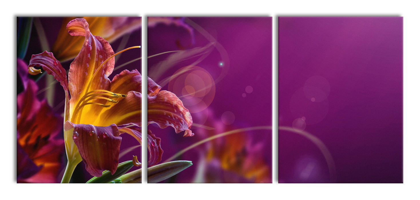 Lilie mit Wassertropfen, XXL Leinwandbild als 3 Teiler
