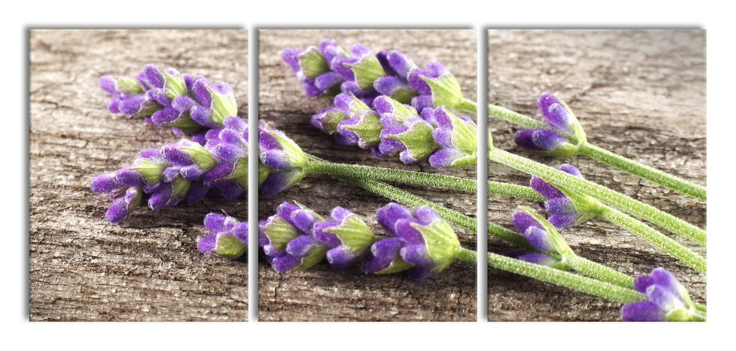 Liegender frischer Lavendel, XXL Leinwandbild als 3 Teiler