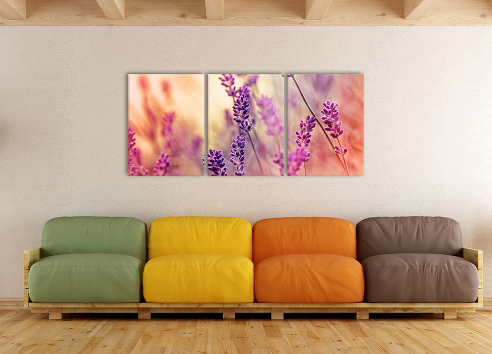 Eleganter Lavendel, XXL Leinwandbild als 3 Teiler