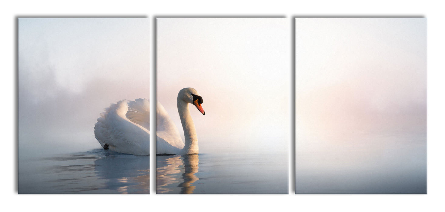 traumhafter weißer Schwan im See, XXL Leinwandbild als 3 Teiler