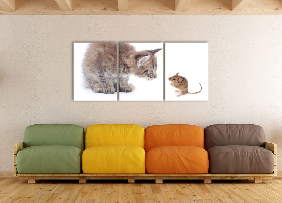 Katze und Maus Freunde, XXL Leinwandbild als 3 Teiler