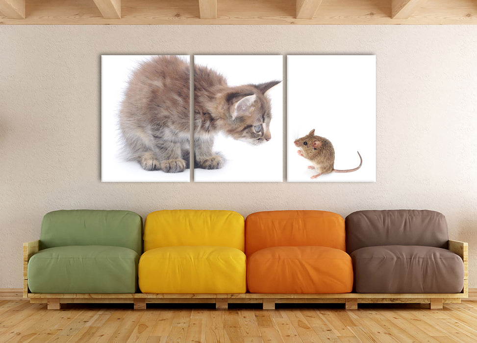 Katze und Maus Freunde, XXL Leinwandbild als 3 Teiler