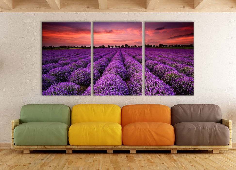 Wunderschöne Lavendel Provence, XXL Leinwandbild als 3 Teiler